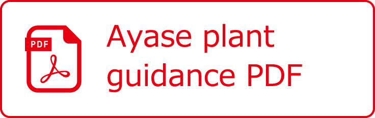 Ayase plant guidance PDF